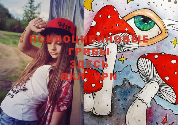 MESCALINE Аркадак