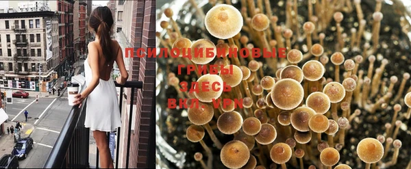 ешки Армянск