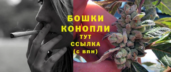прущие крисы Балахна