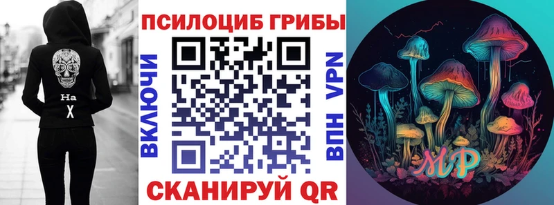 ОМГ ОМГ маркетплейс  что такое   Озёрск  Галлюциногенные грибы Psilocybine cubensis 
